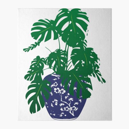 Galeriedruck for Sale mit Monstera-Pflanze im blauen und weißen Blumentopf, Monstera-Blätter, Zimmerpflanzen, Topfpflanzen, Topfpflanzen,  von  EclecticAtHeART