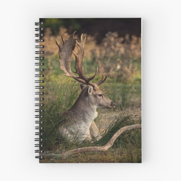 Item preview, Fallow Buck designed and sold by Mart R Porter Nature.