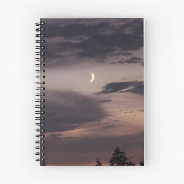 Item preview, Moody Silver Crescent  designed and sold by TomikoKH19.