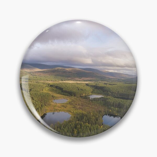 Item preview, Big Paw-Print designed and sold by ShinyPhoto.