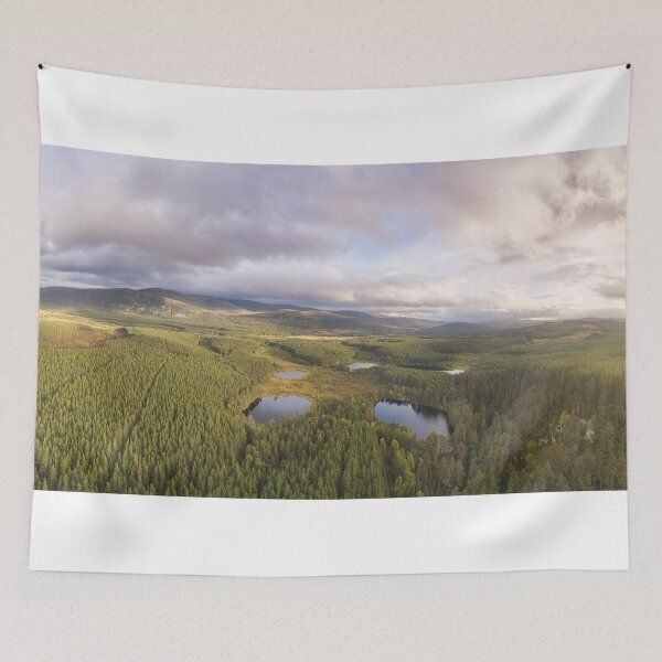 Item preview, Big Paw-Print designed and sold by ShinyPhoto.