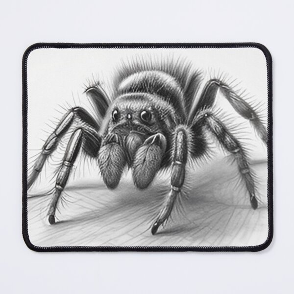 Item preview, Black and white Tarantula pencil drawing designed and sold by Pencil-Art.