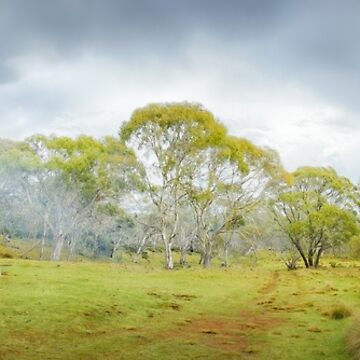Artwork thumbnail, Witzes Hut, Kosciuszko, New South Wales, Australia by Michael Boniwell