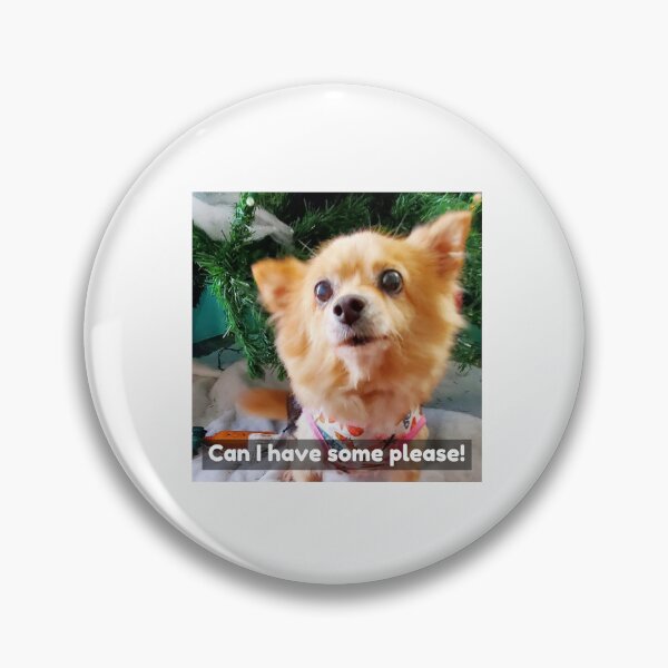Item preview, Pomchi asking for some of what you're eating and some attention. My baby passed away.  designed and sold by Lisaarts.
