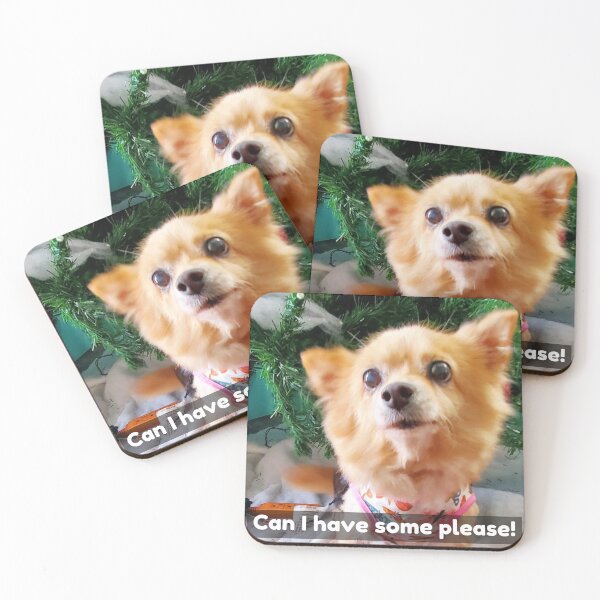 Item preview, Pomchi asking for some of what you're eating and some attention. My baby passed away.  designed and sold by Lisaarts.