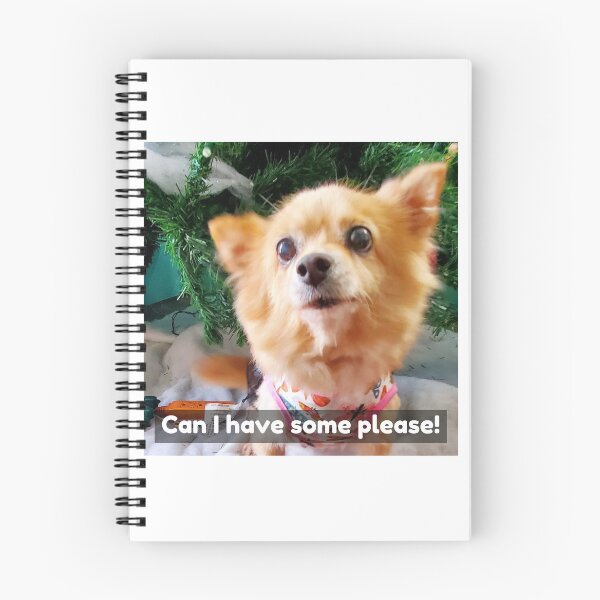 Item preview, Pomchi asking for some of what you're eating and some attention. My baby passed away.  designed and sold by Lisaarts.