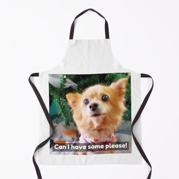 Item preview, Pomchi asking for some of what you're eating and some attention. My baby passed away.  designed and sold by Lisaarts.