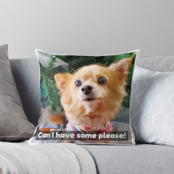 Item preview, Pomchi asking for some of what you're eating and some attention. My baby passed away.  designed and sold by Lisaarts.