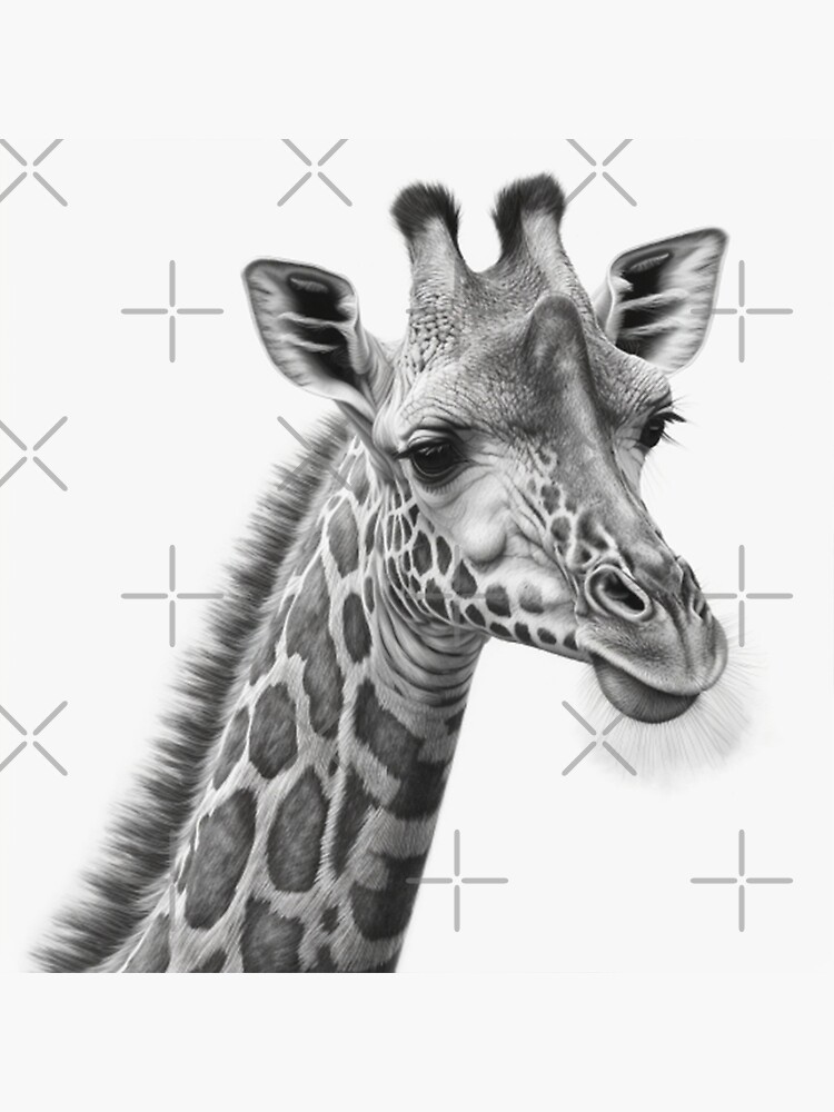 Giraffe Drawing Ideas ➤ How to draw a Giraffe