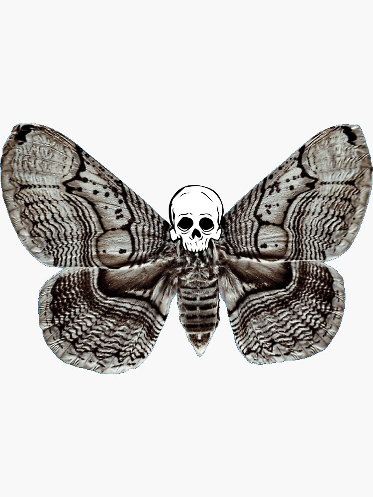 Death moth print, death moth art, gothic print, gothic decor, gothic art,  gothic frame, death moth, alternative art, gothic gifts, postcards