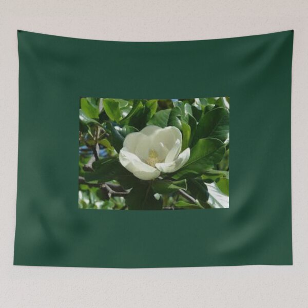 Item preview, Unbelievable Evergreen  Magnolia  designed and sold by WinningWorld.