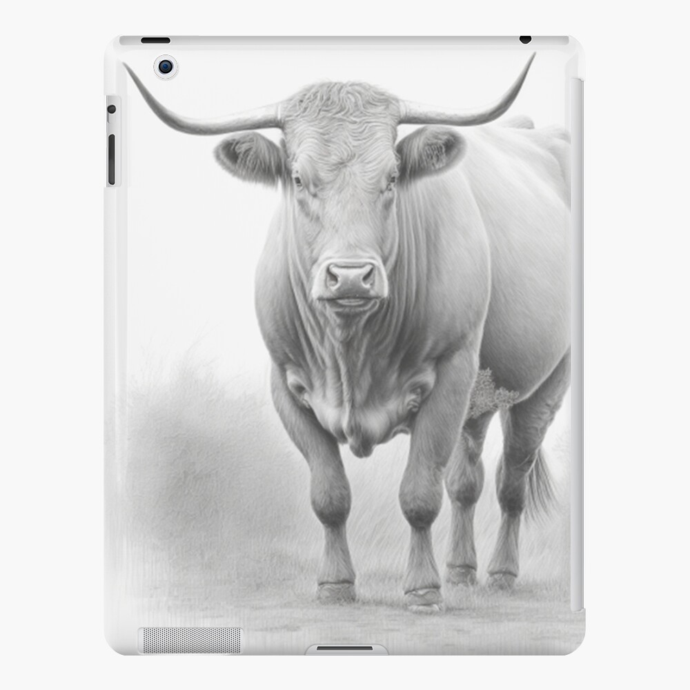 Mid Century c1960s Modernist Oil Pastel Drawing Charging Bull Matador  Signed | eBay