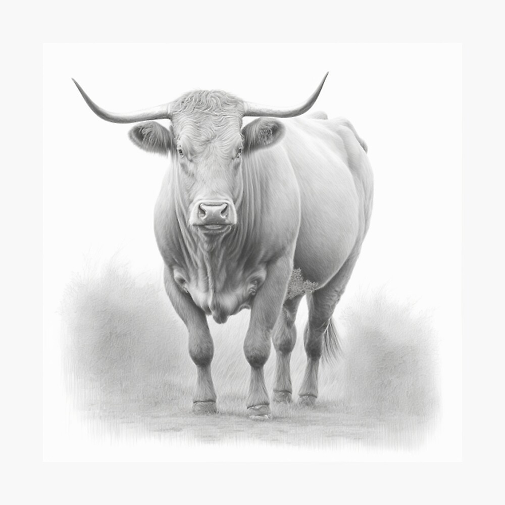 Premium Photo | Pencil sketch cute baby cow animal drawing image Generative  AI