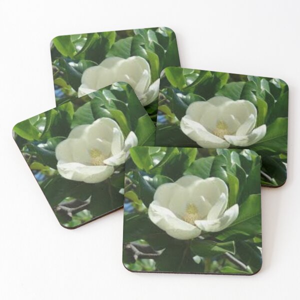 Item preview, Unbelievable Evergreen  Magnolia  designed and sold by WinningWorld.