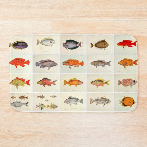 Item preview, Vintage Fish Drawings and illustrations, Portrait, poster designed and sold by Michael Dietrich.