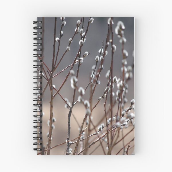 Item preview, Soft Silver designed and sold by Naturestories.