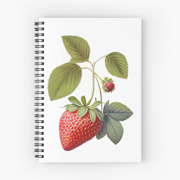Item preview, Sweet & Juicy Strawberry Illustration designed and sold by AdaRecordShop.