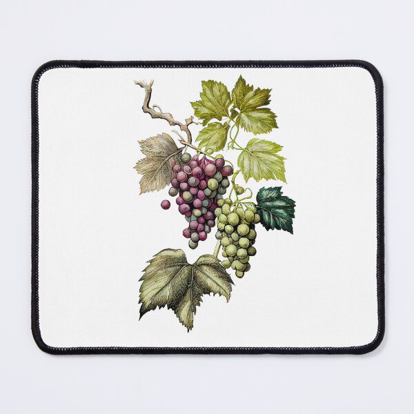 Item preview, Glimmering Grapes - Handdrawn Watercolor Illustration designed and sold by AdaRecordShop.