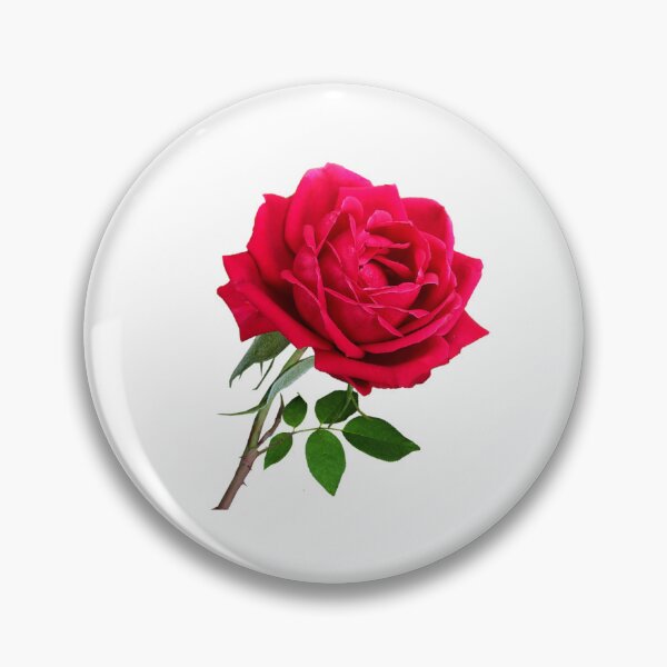Item preview, Elegant Red Rose designed and sold by silviaol.