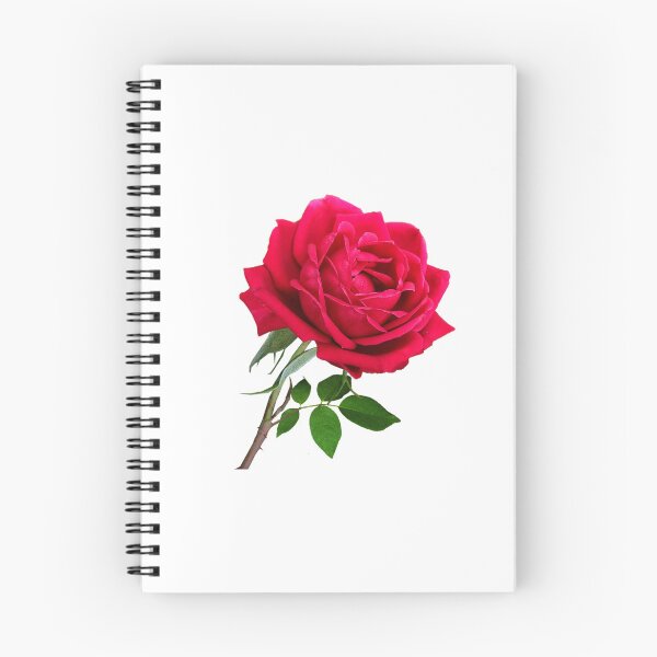 Item preview, Elegant Red Rose designed and sold by silviaol.