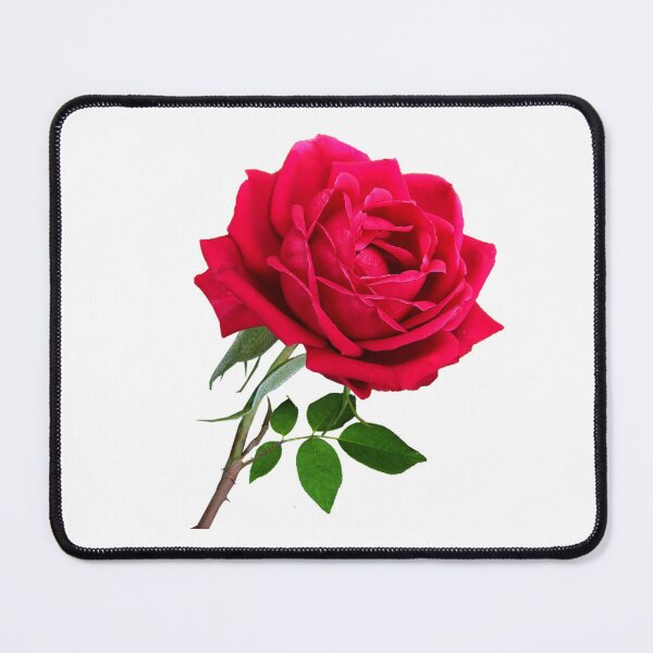 Item preview, Elegant Red Rose designed and sold by silviaol.