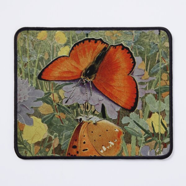 Item preview, Vintage Butterflies - Polyommatus virgaureae (La Verge-d’or) - Scarce Copper  designed and sold by MagicStrawberry.