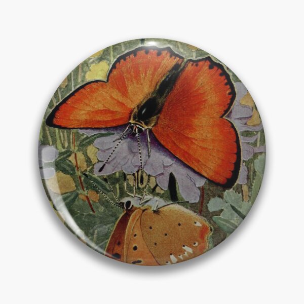 Item preview, Vintage Butterflies - Polyommatus virgaureae (La Verge-d’or) - Scarce Copper  designed and sold by MagicStrawberry.