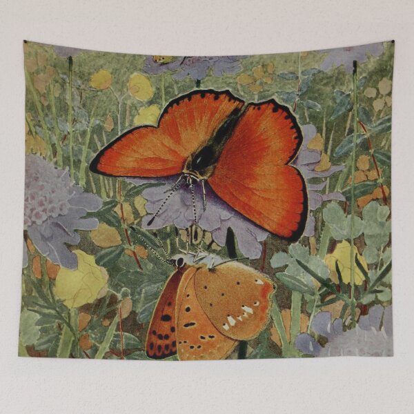 Item preview, Vintage Butterflies - Polyommatus virgaureae (La Verge-d’or) - Scarce Copper  designed and sold by MagicStrawberry.