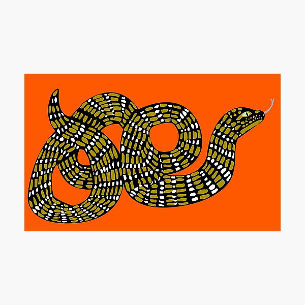 Gucci Snake Photographic Prints for Sale