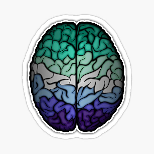 Large Gay Pride Flag Colored Brain Sticker
