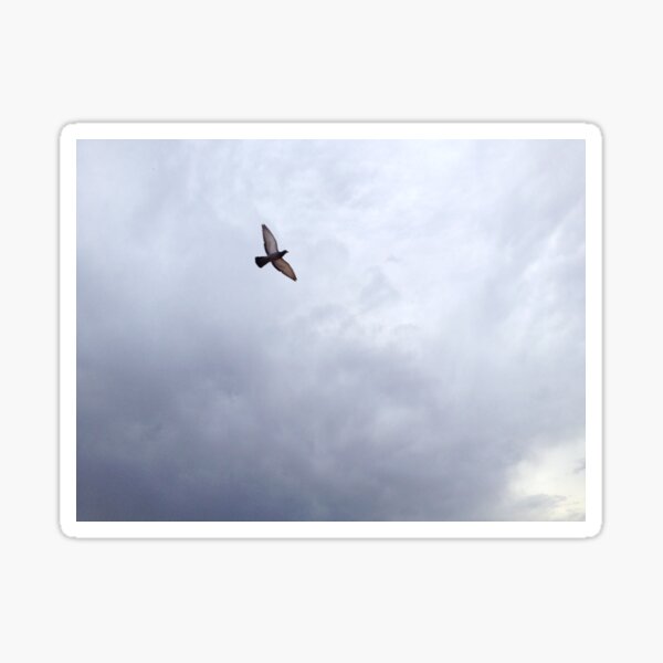 Item preview, flying in cloudy sky designed and sold by J sora.