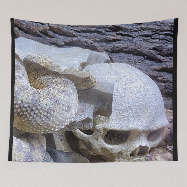 Item preview, SIDEWINDER 4 designed and sold by BOLLA67.