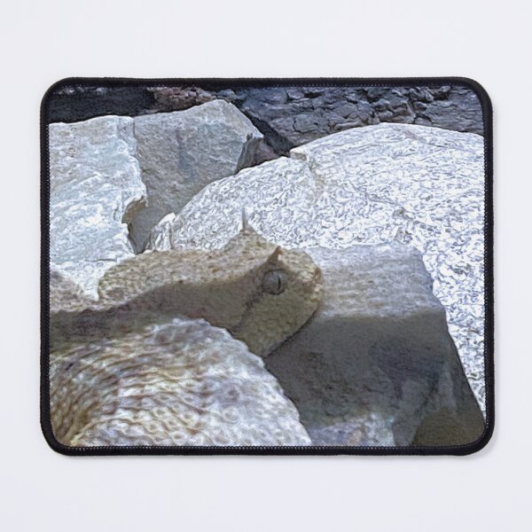 Item preview, SIDEWINDER 2 designed and sold by BOLLA67.