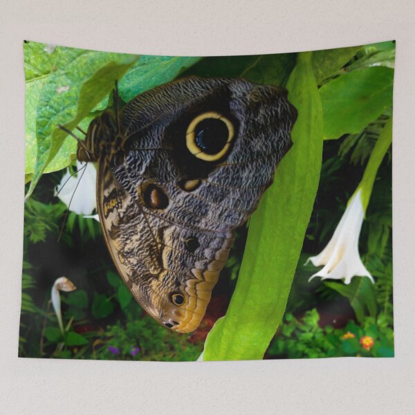 Item preview, Butterfly in Trumpet Flower designed and sold by Nalinne Jones.