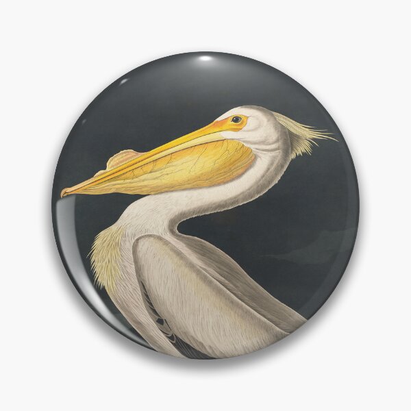 American White Pelican | Audubon | Birds of America | John James Audubon | Pin