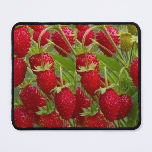 Item preview, Delicious Red Strawberries are absolutely delicious.  designed and sold by Tiannalaw.