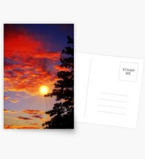 Sunrays Postcards
