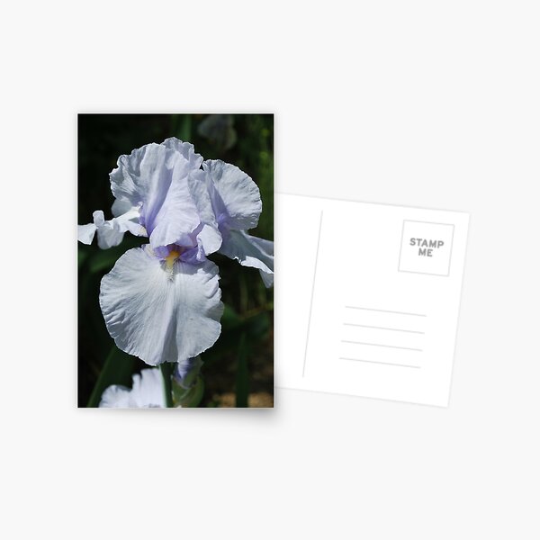 Item preview, Iris designed and sold by Julie Sherlock.
