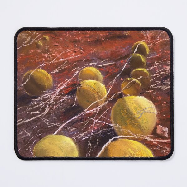 Item preview, 'Paddy Melons' designed and sold by Lynda Robinson.