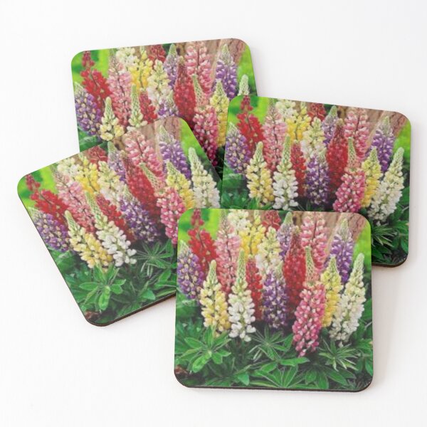 Item preview, MIRACLE FLOWERS to celebrate -Happy Valentines Day! designed and sold by WinningWorld.