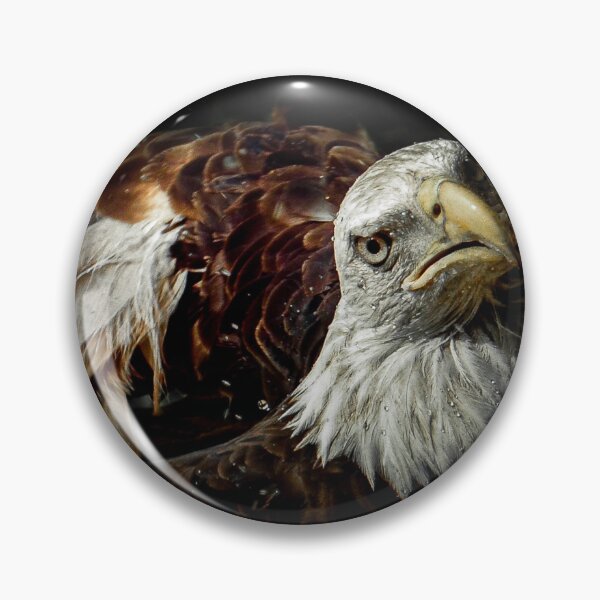 Item preview, Águila calva americana designed and sold by redscorpion.