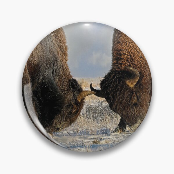 Item preview,  A fight between Two Male Bison, American Buffalo in a Snow Field  designed and sold by Lena Owens at OLena Art..