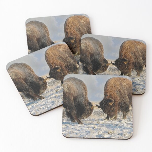 Item preview,  A fight between Two Male Bison, American Buffalo in a Snow Field  designed and sold by Rocky Mountain Artistry.