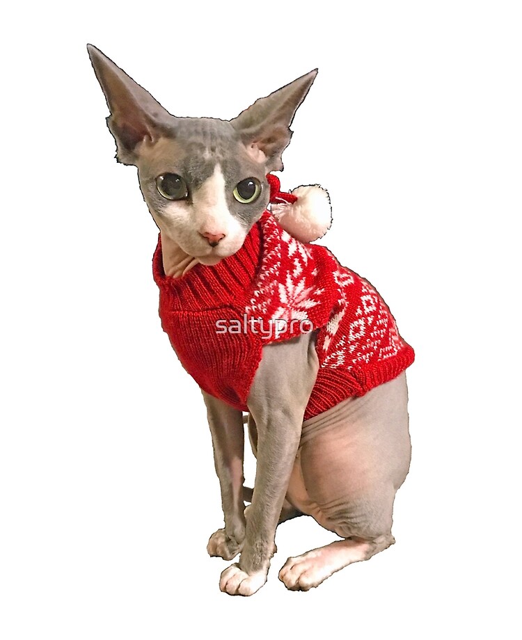 CATAMARAN – Sphynx Cat Wear