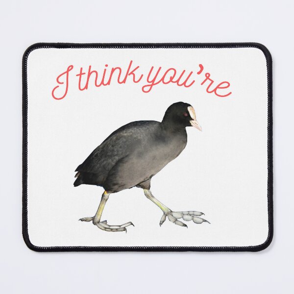Item preview, I think you're coot designed and sold by anothercreator2.