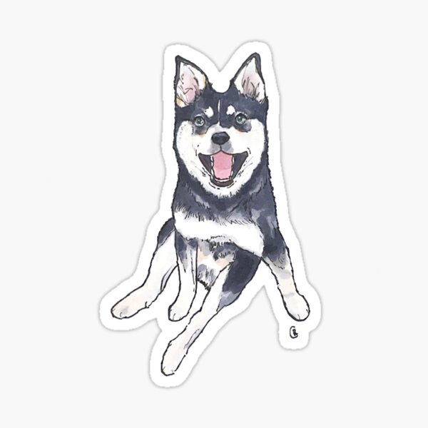 Alaskan Klee Kai Illustration Sticker