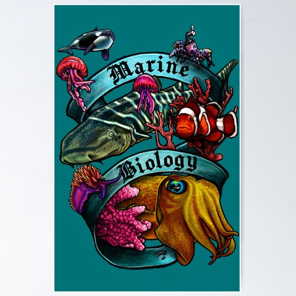 Item preview, Marine Biology Nerd Banner designed and sold by FreyStrandDraws.