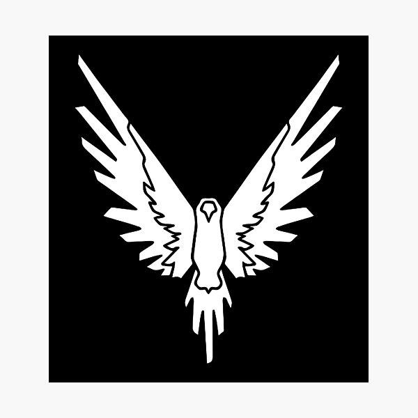 WHITE BIRD YOUTUBER Photographic Print