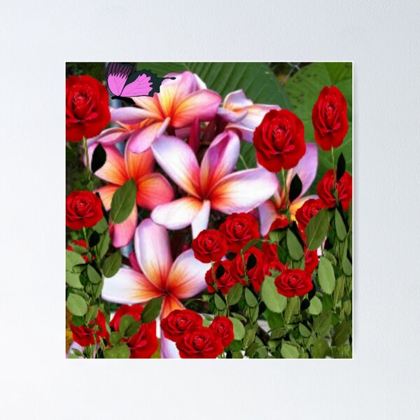 Item preview, Frangipani & Roses designed and sold by Freshstar1.