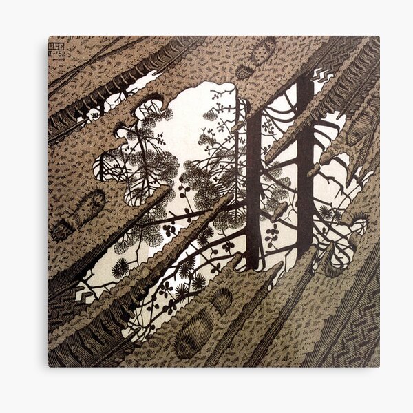 Escher Metal Print